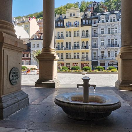 Ubytovani Ester - Utulny Byt V Lazenskem Centru Karlovych Varu Se Zahradkou Lejlighed Karlsbad Eksteriør billede