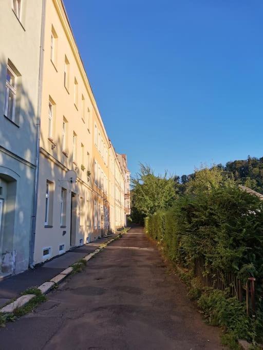 Ubytovani Ester - Utulny Byt V Lazenskem Centru Karlovych Varu Se Zahradkou Lejlighed Karlsbad Eksteriør billede