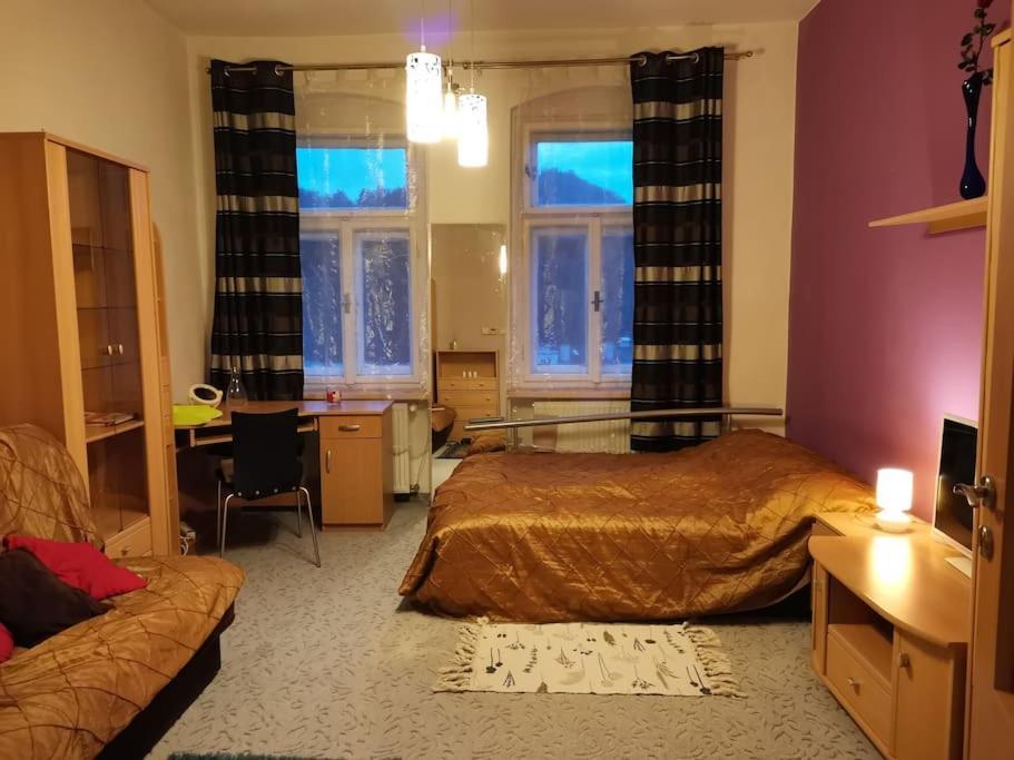 Ubytovani Ester - Utulny Byt V Lazenskem Centru Karlovych Varu Se Zahradkou Lejlighed Karlsbad Eksteriør billede