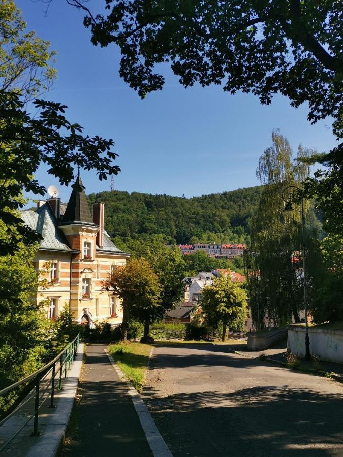 Ubytovani Ester - Utulny Byt V Lazenskem Centru Karlovych Varu Se Zahradkou Lejlighed Karlsbad Eksteriør billede
